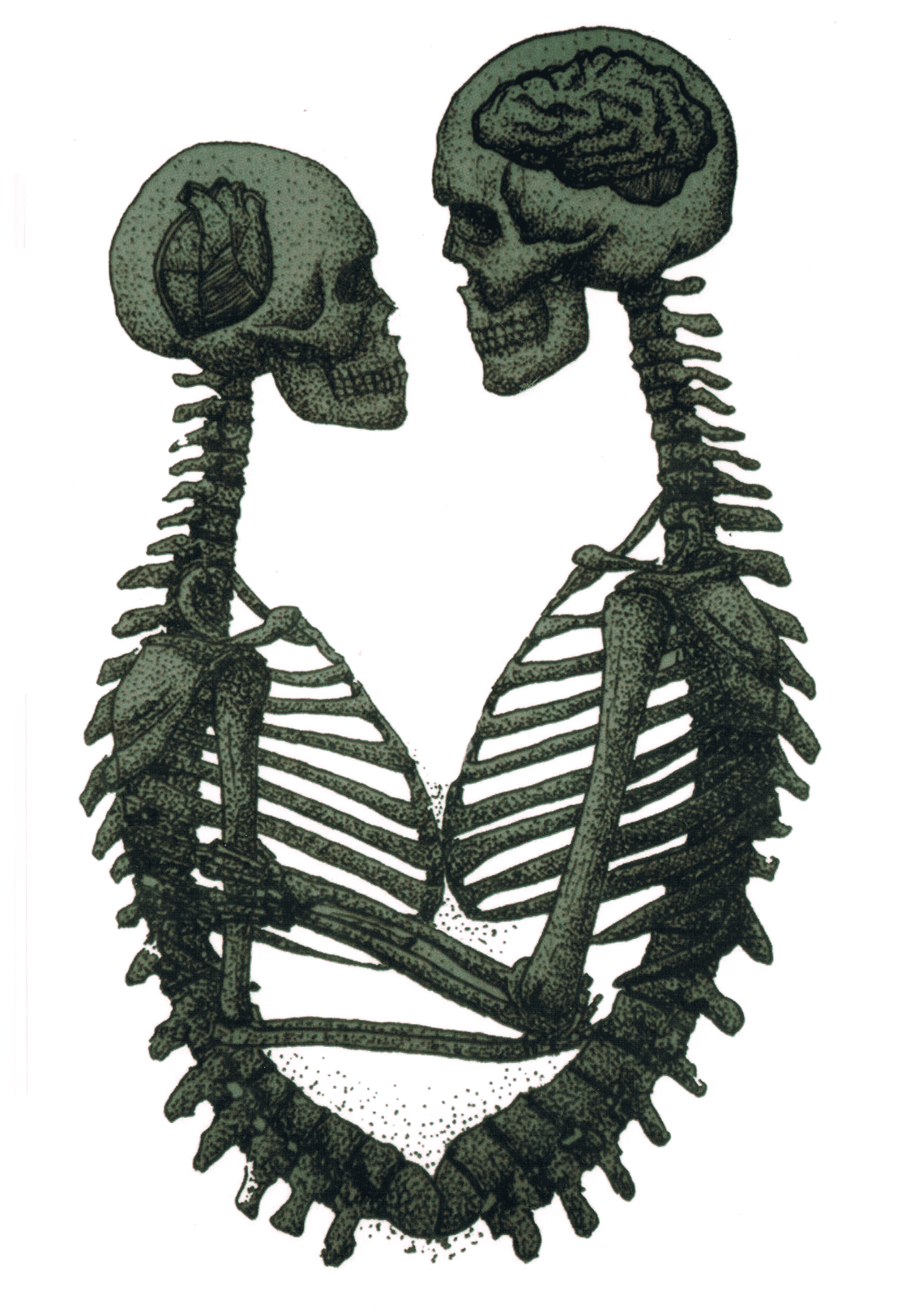 Couple Squelettique
