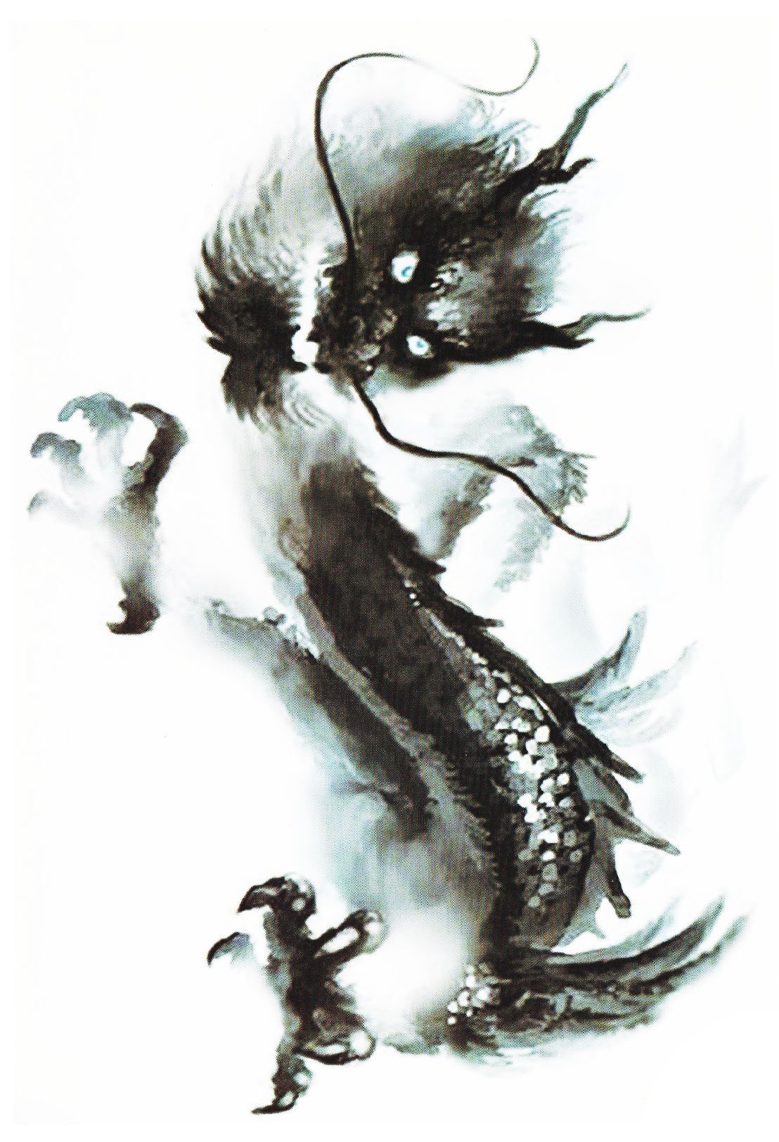 Tatouage Temporaire Dragon aquarelle - Le Coq Tatoué, image size:1108x1623