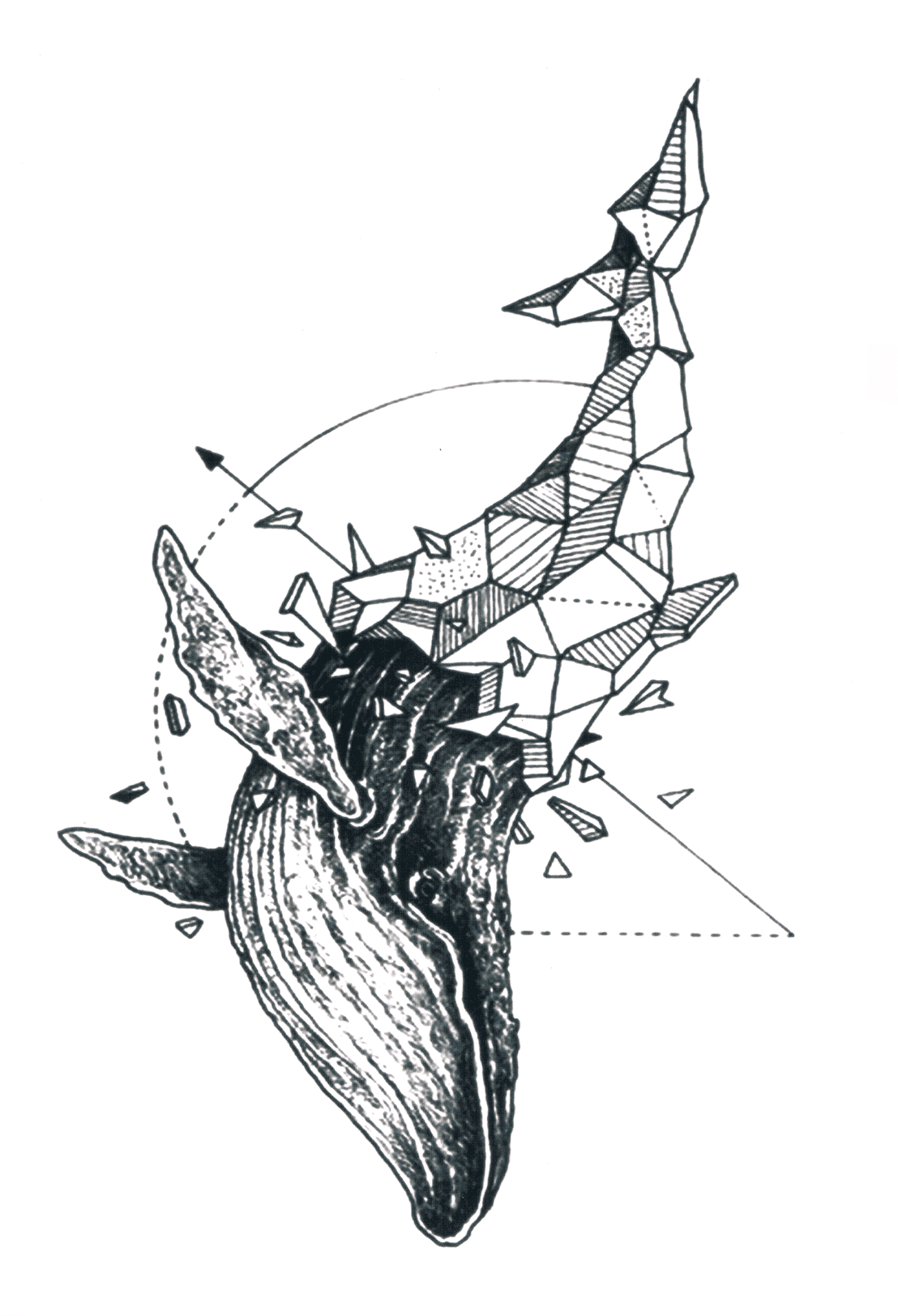 Tatouage Temporaire Baleine - Le Coq Tatoué, image size:1108x1623