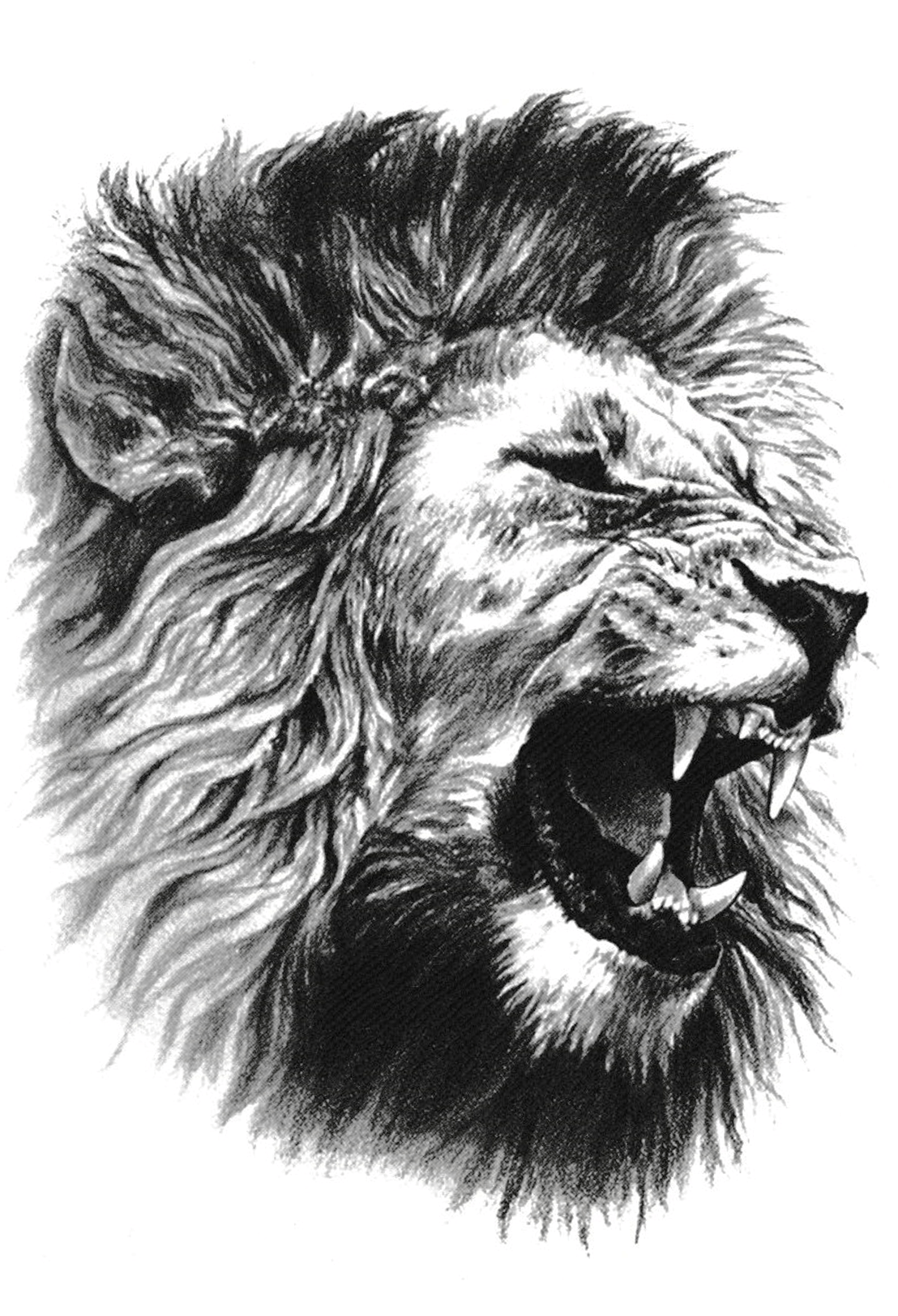 La colère du lion