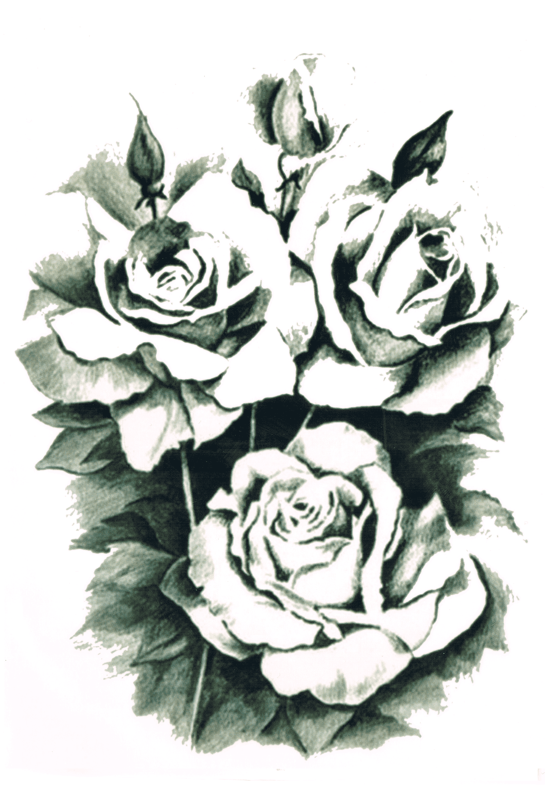 Roses Noir et Blanc