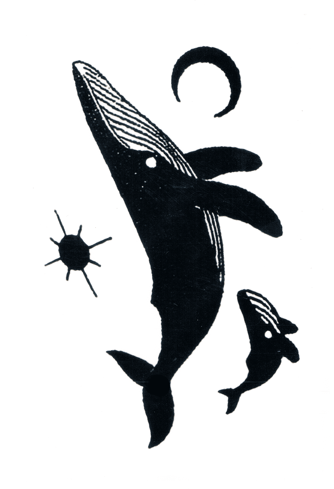 Black Whale ( 4 pièces )