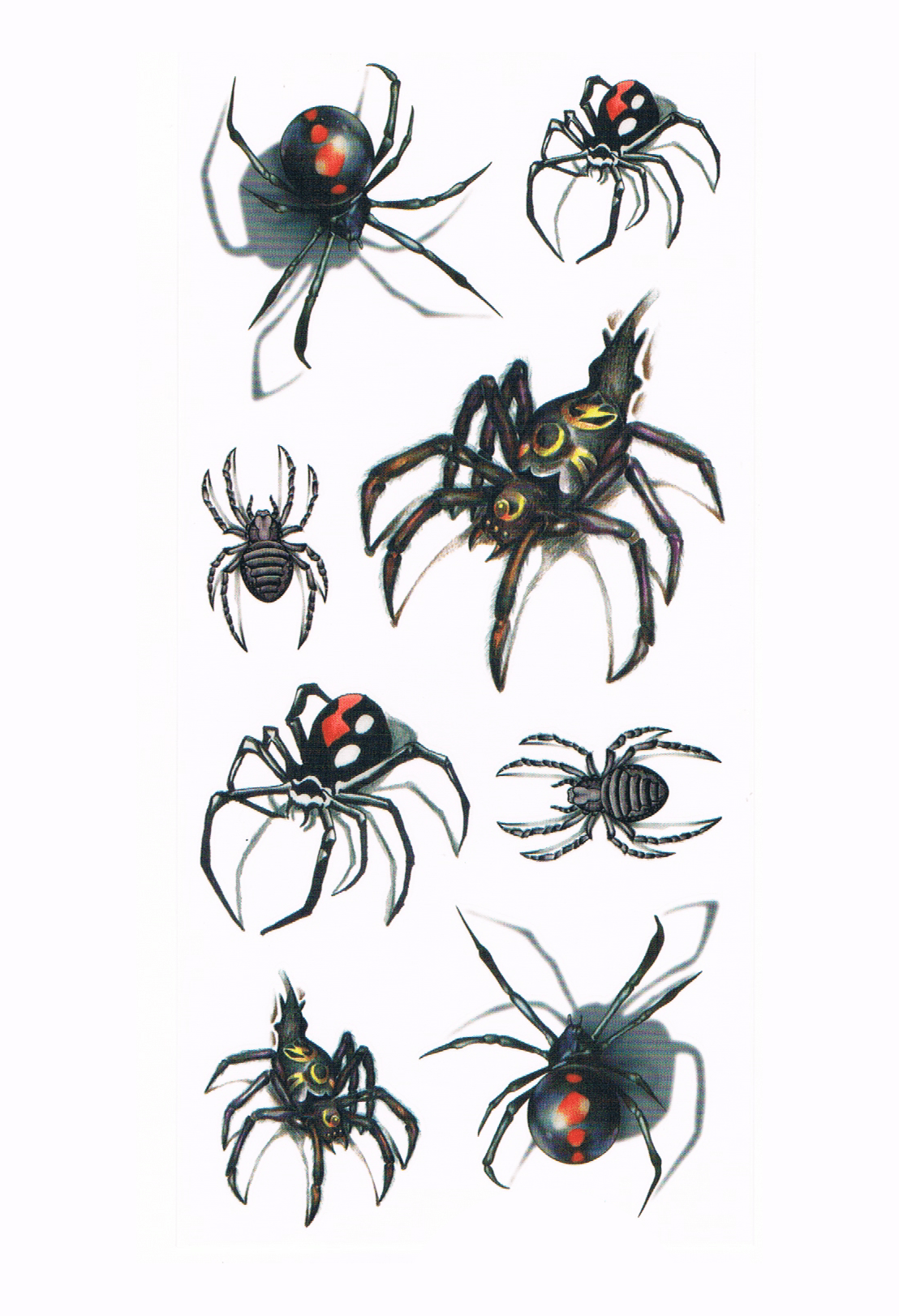 Collection d'araignés ( 8 pièces )