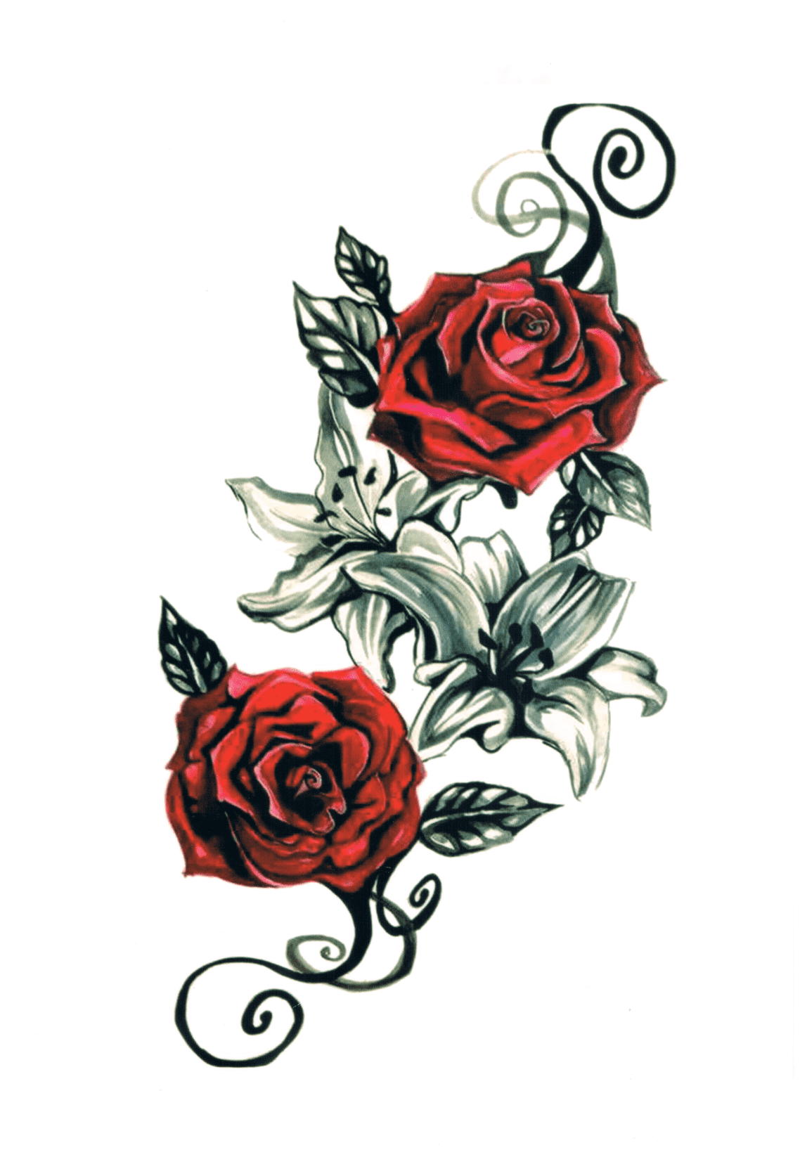 Duo de roses