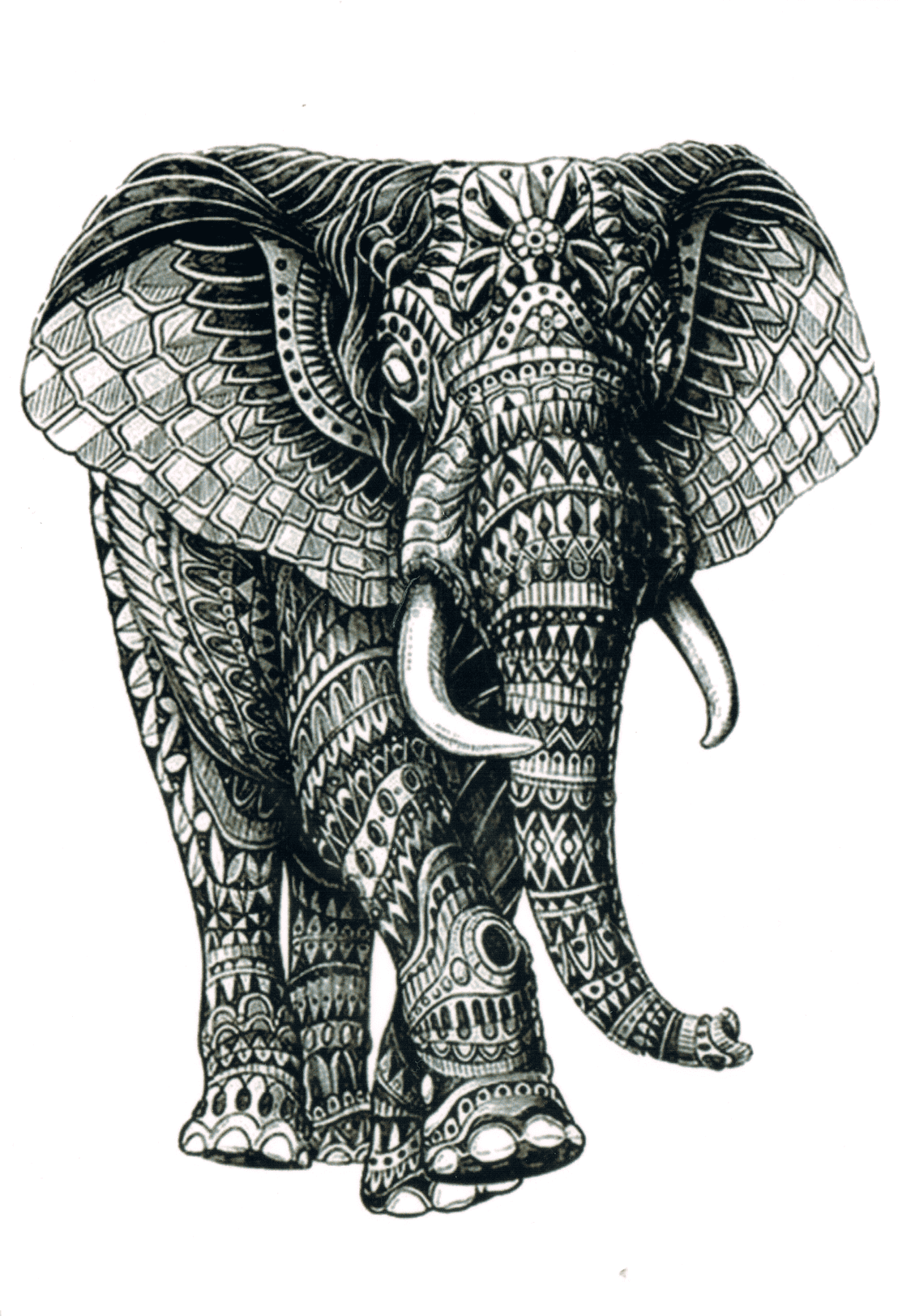 Géo Éléphant