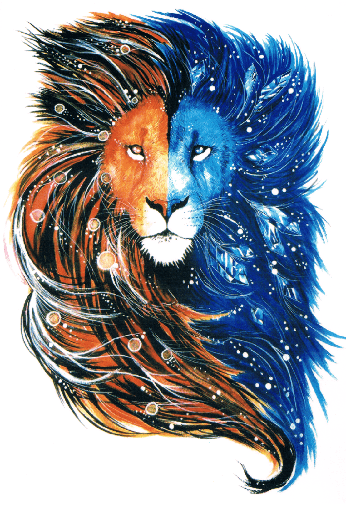 Lion Orange bleu