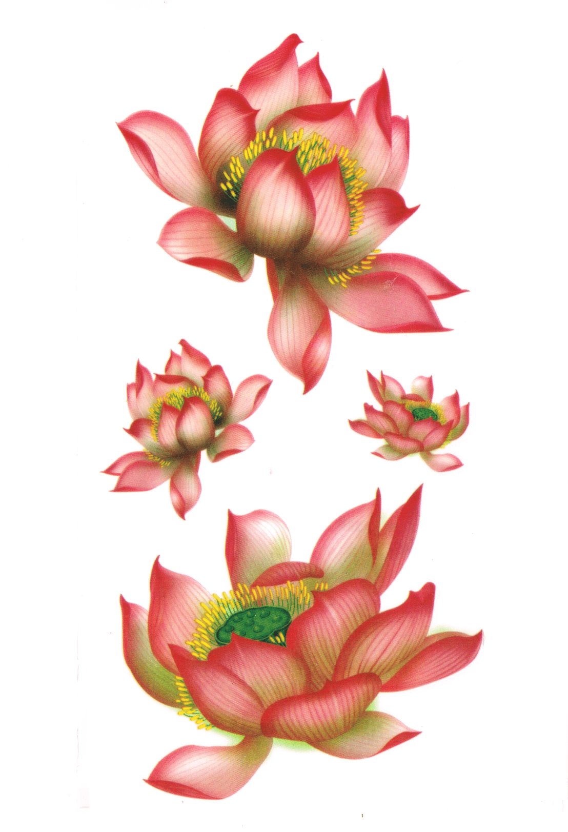 Lotus ( 4 pièces )