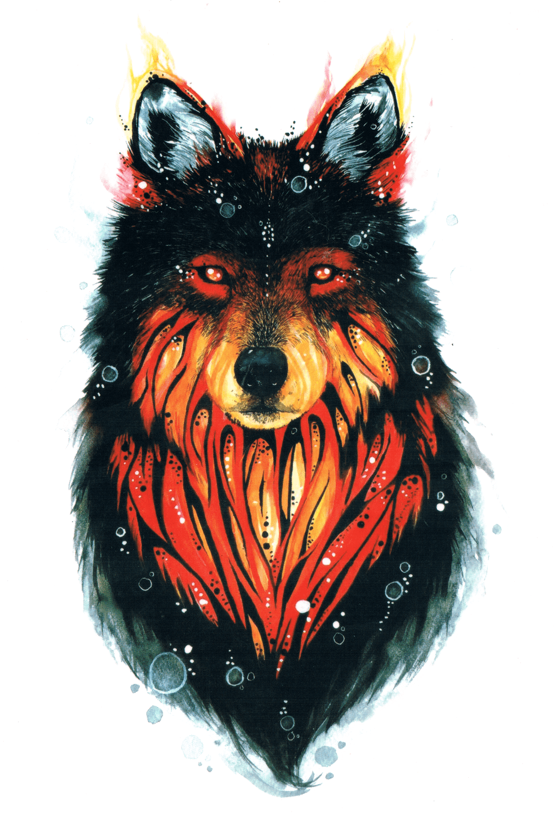 Orange Wolf