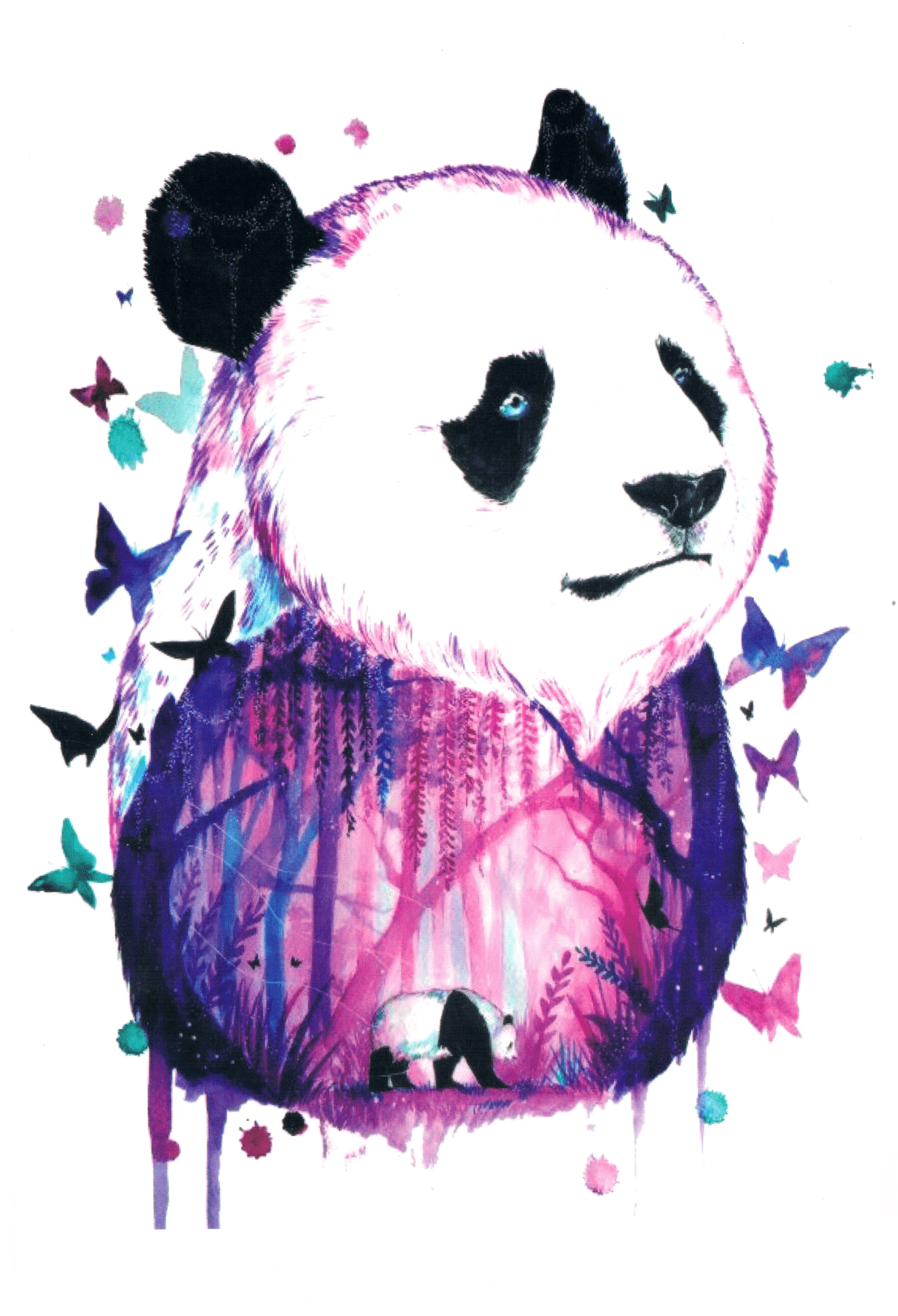 Panda Color
