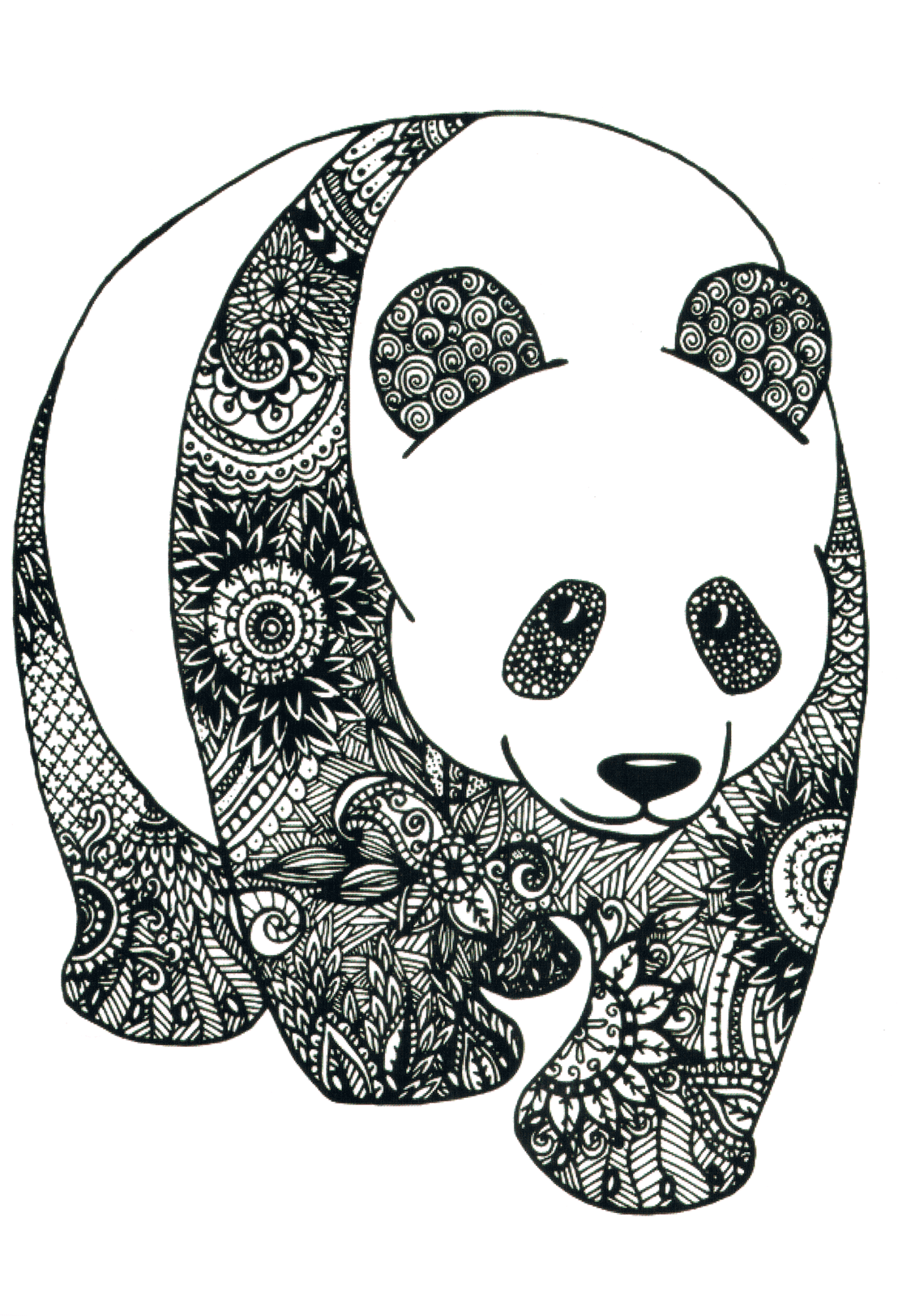 Panda Graphique
