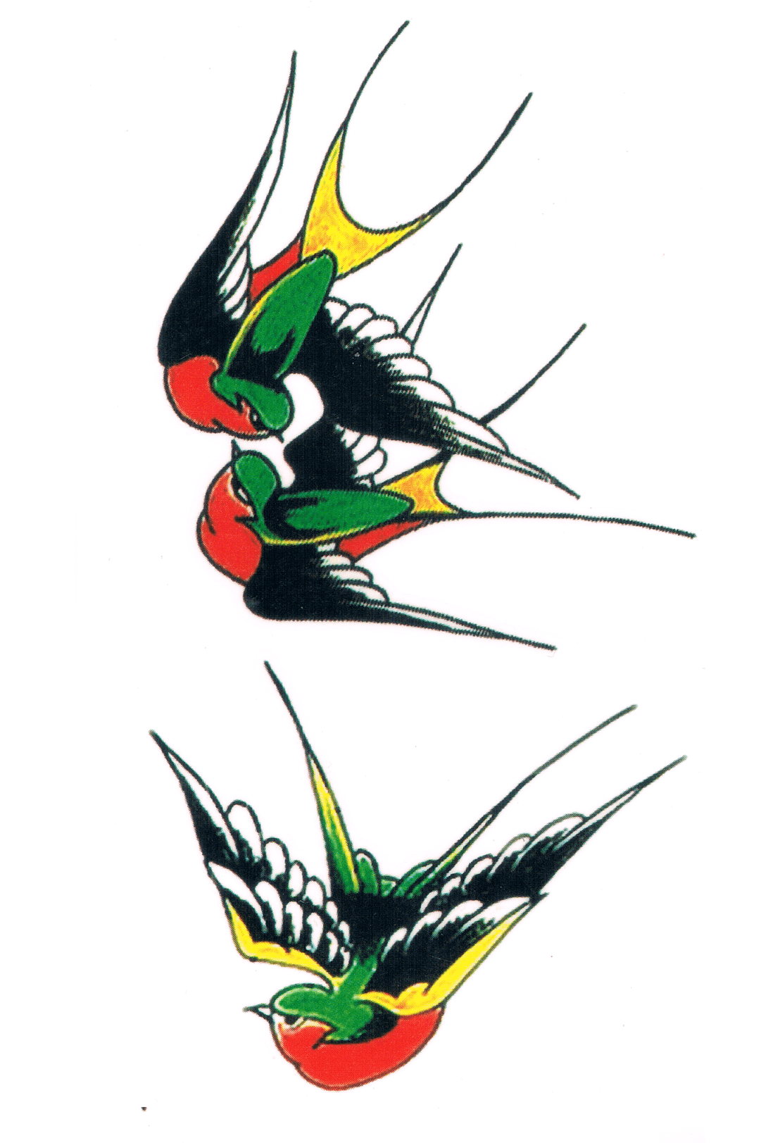 Perruches Old School