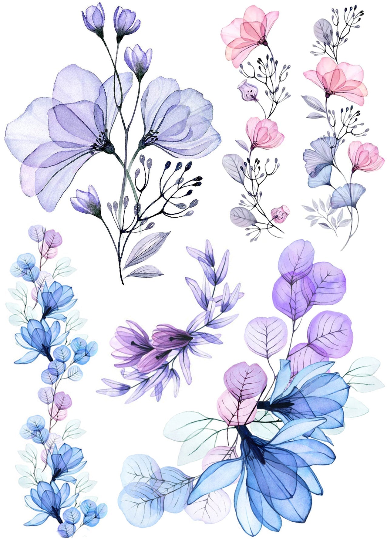 Planche de fleurs aquarelle