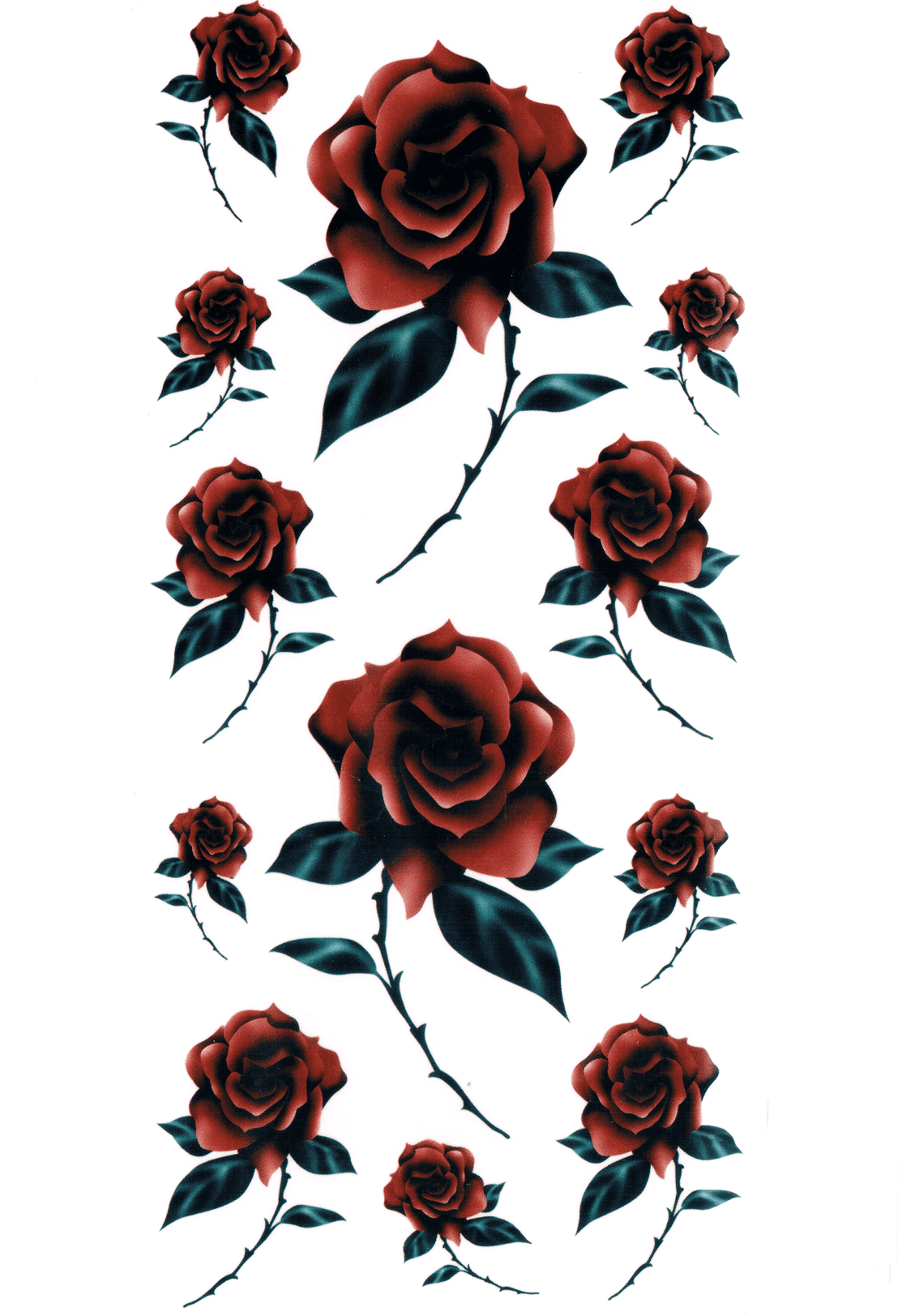 Planche de Roses ( 13 pièces )