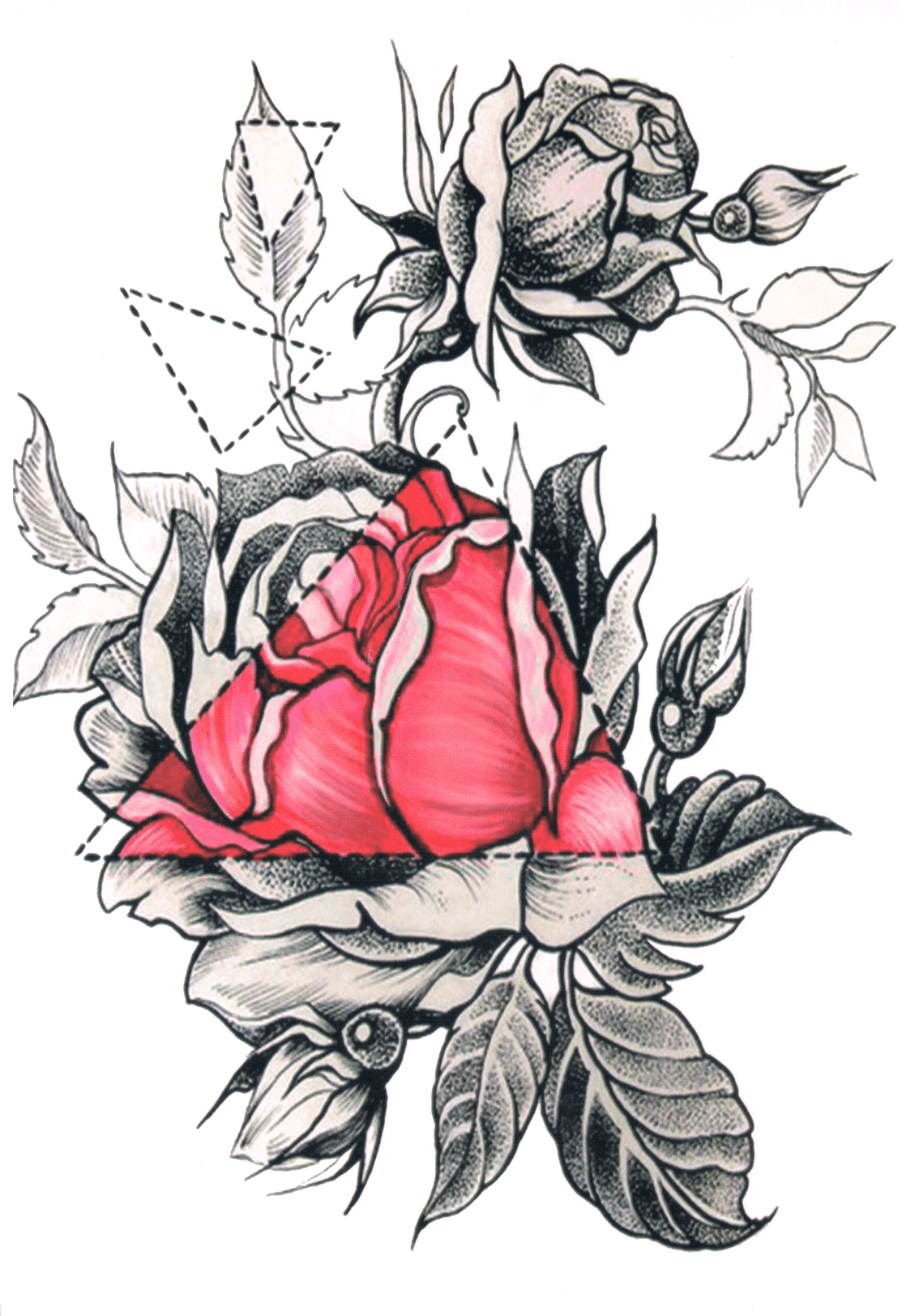 Rose Triangulée