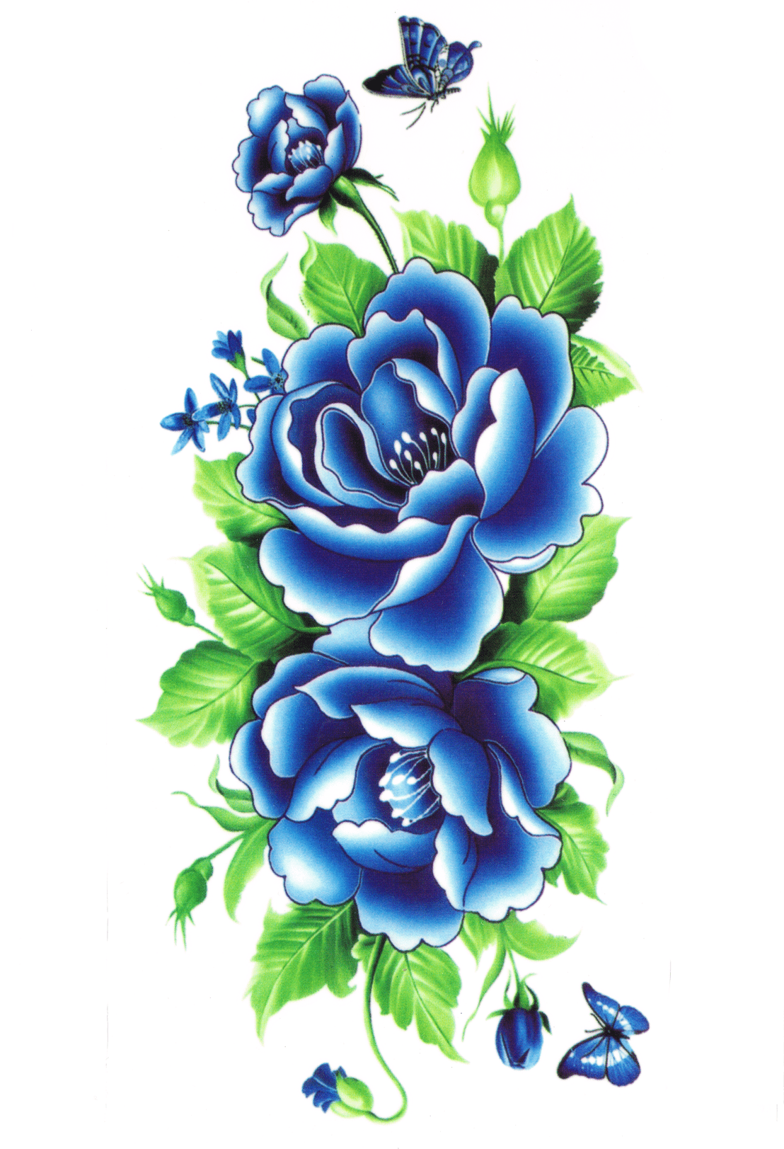Roses Bleues