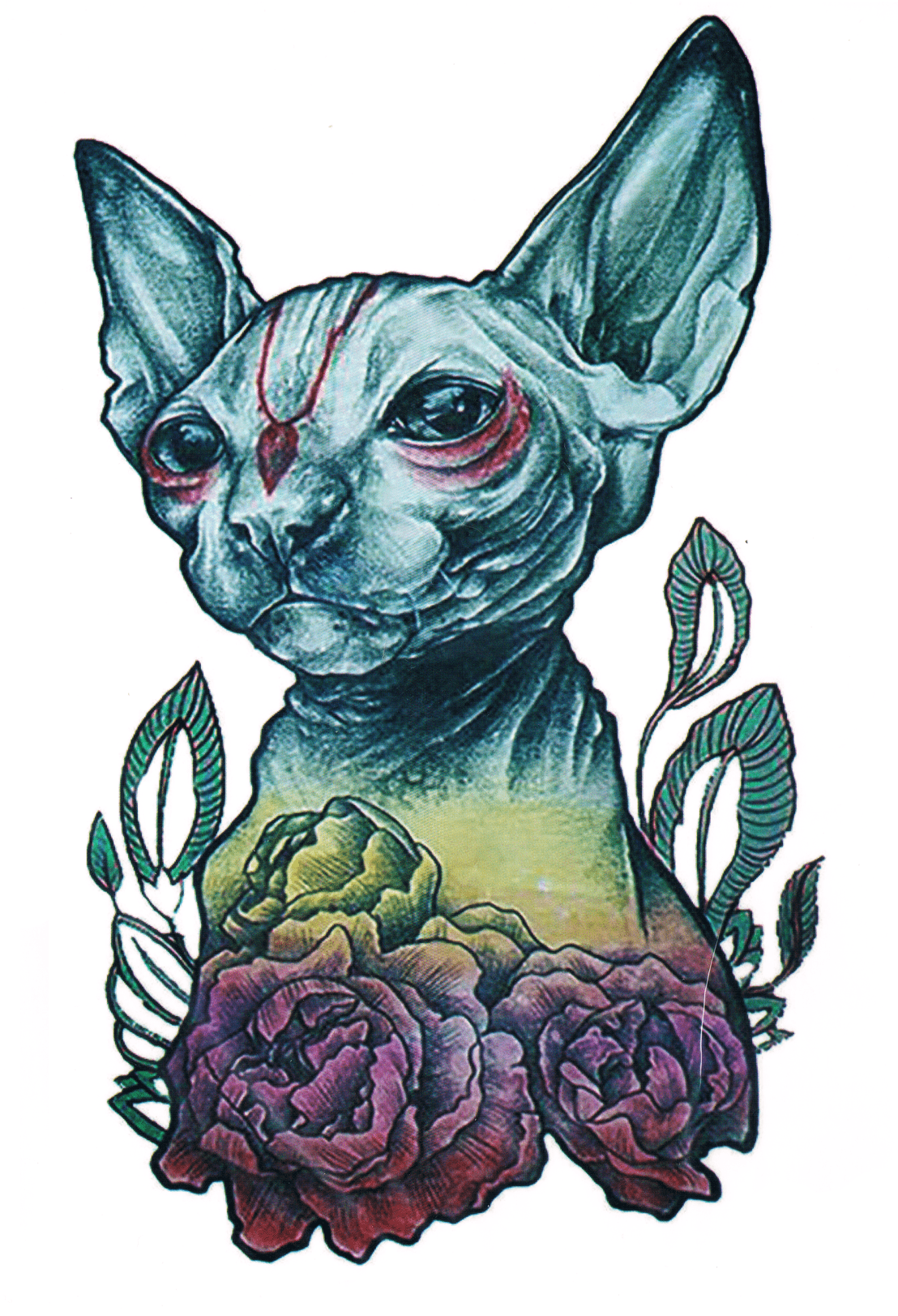 Sphynx Floral