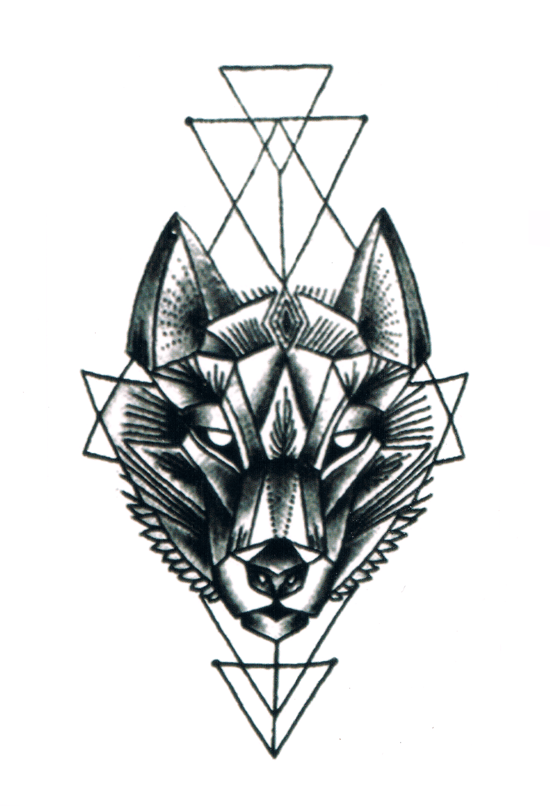 Tête de loup géométrique