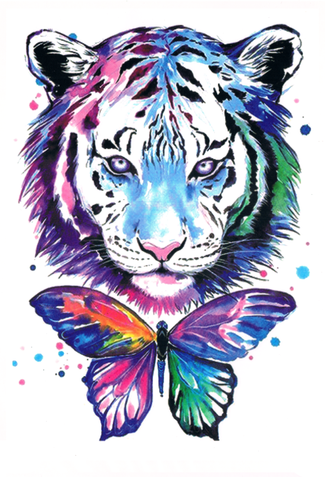 Tigre Aquarelle