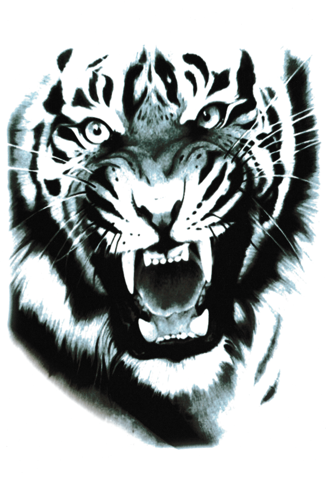 Tigre hurleur
