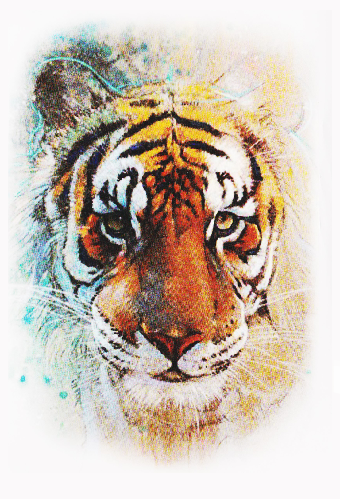 Tigre portrait