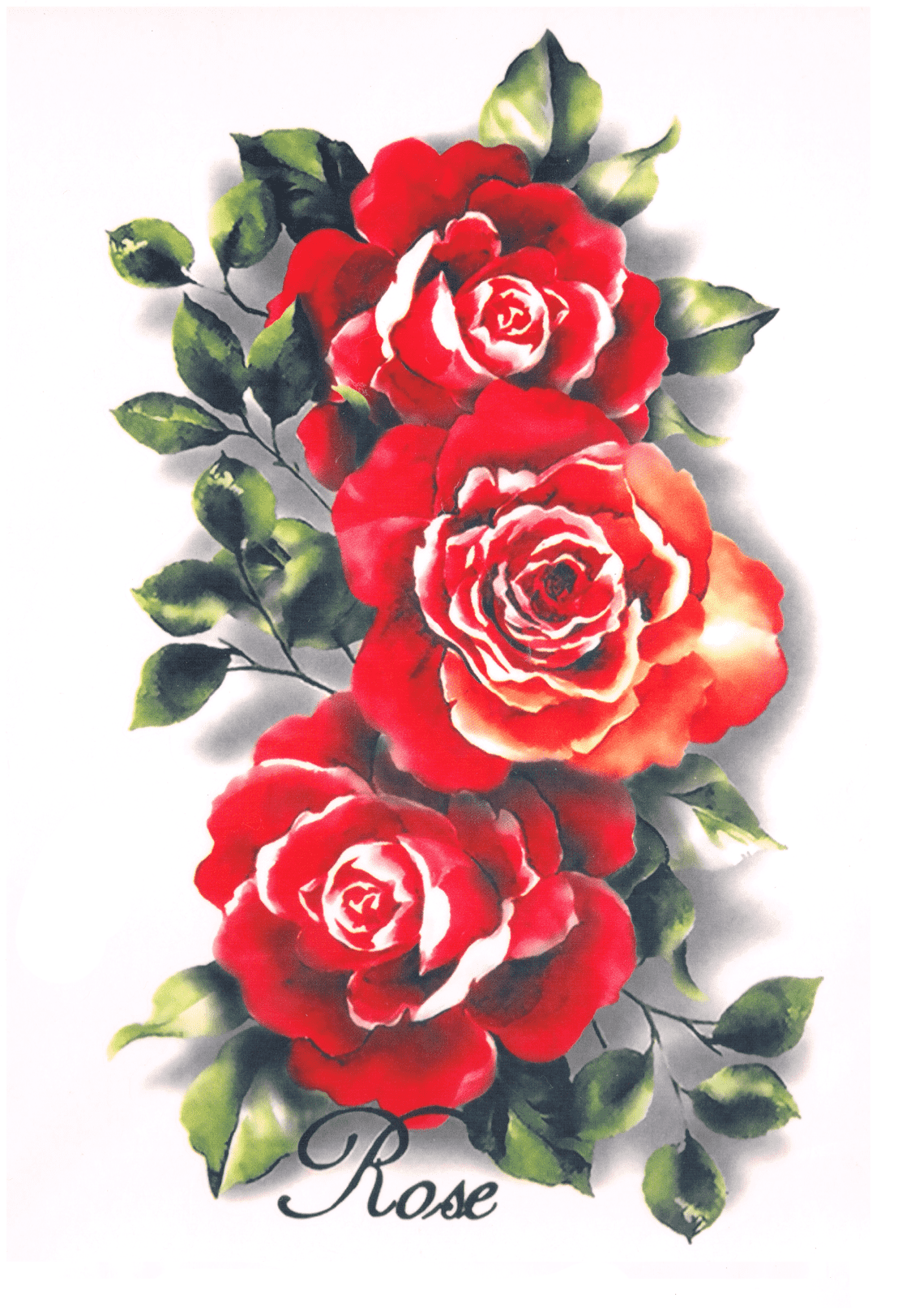 Trio de Roses